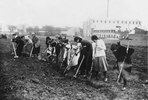 Women working in fields during world war I, 1917