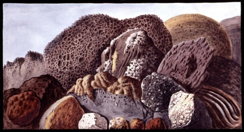 Minerals and vegetal sponges