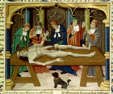 Barthélémy l'Anglais. Dissection