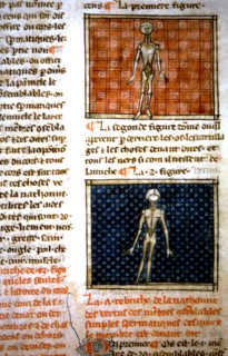 Henri de Mondeville, anatomy drawings