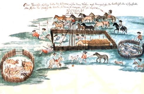 Illustration de Florian Baucke (1749-1767). Zwettler Codex. Vie des indiens Guaranis vue par un père jésuite
