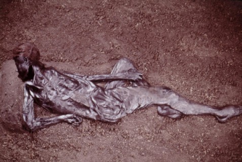 The Moesgaard Man, 2000 years old, found intact in the marshes