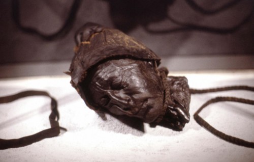 The Tollund Man, 2000 years old, discovered in 1950, in a peat bog
