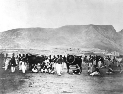 Mountain artillery in the Oran area