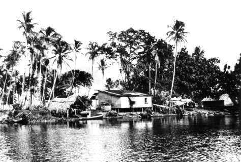 Landing at the Bay of Pigs