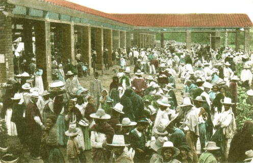 Palmira (Cauca) in Colombia, the market