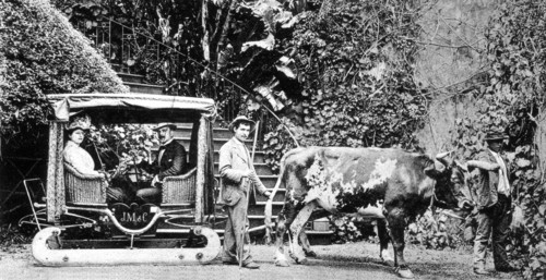 Madère, mode de transport
