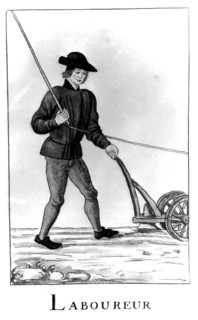 Ploughman
