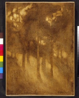 Carrière, Among the trees