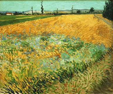 Van Gogh, Wheatfield