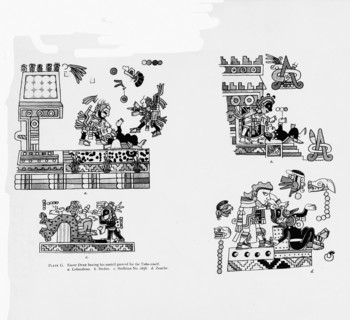 Codex Zouche-Nuttall, Rituels du Yakaxihuilt