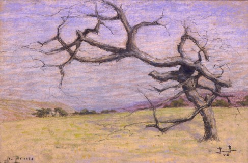 Prins, Dead tree