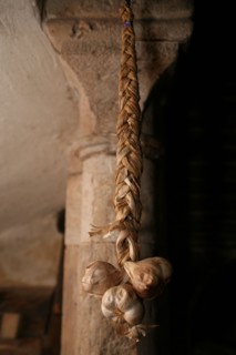 Gousses d'ail tressees