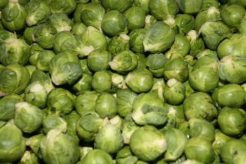 Brussels sprout