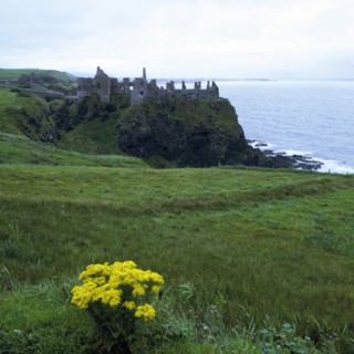 Dunluce Castle