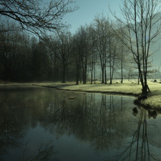 Pond