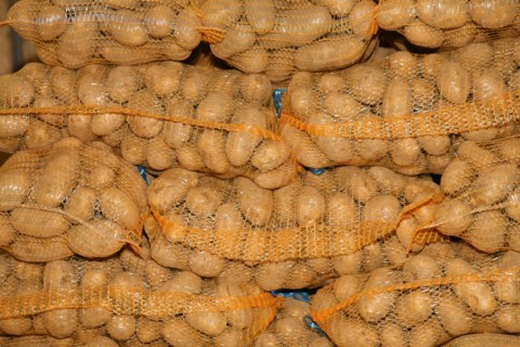 Sacs de pommes de terre