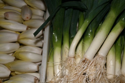 Poireaux et endives