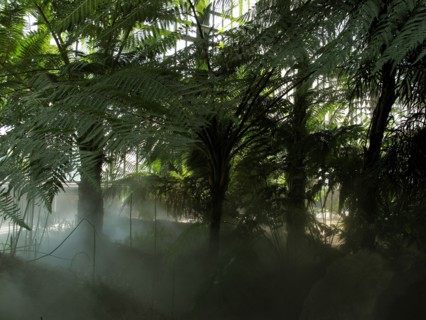 Serre du Jardin des Plantes