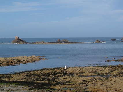 Baie de Le Diben, Plougasnou, Finistere
