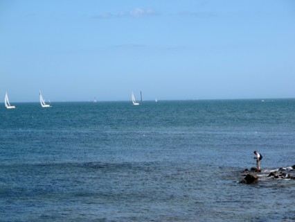 Paysage du Morbihan