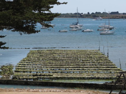 Parc a huitres dans la baie de Larmor Baden