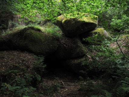Morbihan, landscape
