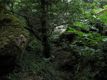 Vallee des Traouiero