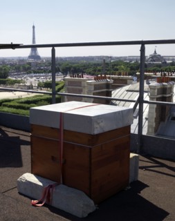 Beehive on the roof of Hotel Westin in Paris