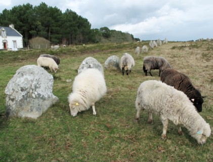 Alignements du Menec à Carnac