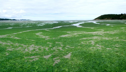 Beach of Saint-Michel-en-Grève in Brittany