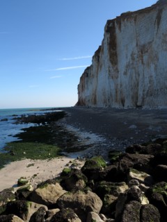 Falaise des Petites-Dalles