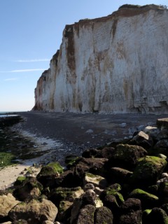 Falaise des Petites-Dalles