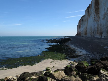Falaise des Petites-Dalles