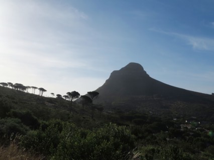 Green Point, Le Cap
