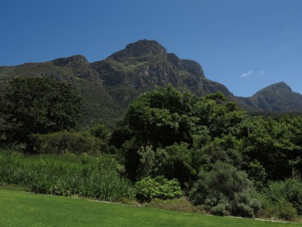 Le Cap, Jardin botanique national Kirstenbosch