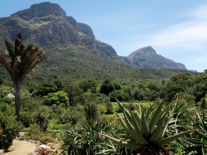 Le Cap, Jardin botanique national Kirstenbosch