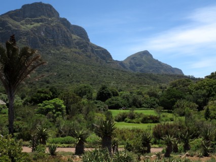 Le Cap, Jardin botanique national Kirstenbosch