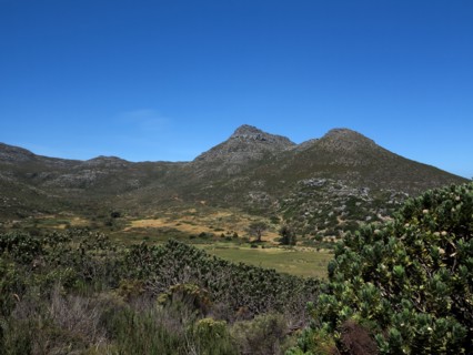 Le Cap, Kommetjie