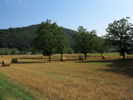 Champs en Correze