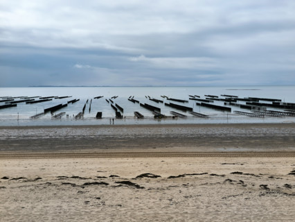 Oyster beds and mussel beds in Normandy