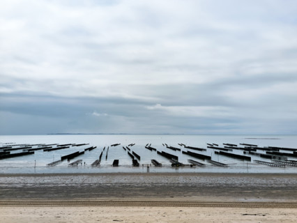 Oyster beds and mussel beds in Normandy