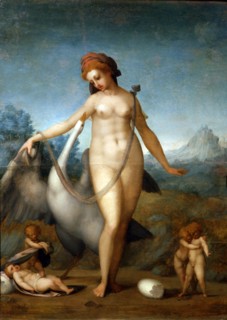 Pontormo, Léda et le cygne
