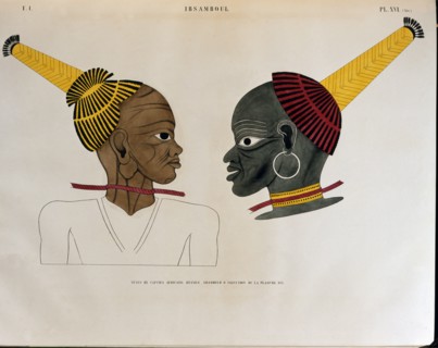 Champollion le Jeune, Têtes de captifs africains