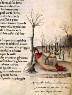 Pétrarque, Manuscrit "Canzoniere e Trionfi"