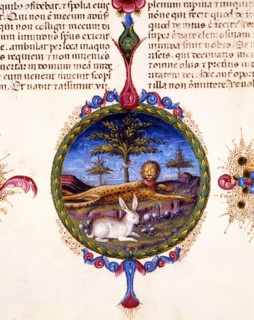 Bible de Borso d'Este, Félin allongé et lapin