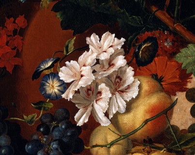 Van Huysum, Composition de fleurs et fruits (détail)