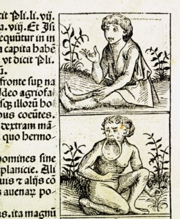 "Liber Chronicarum": monstrous creatures