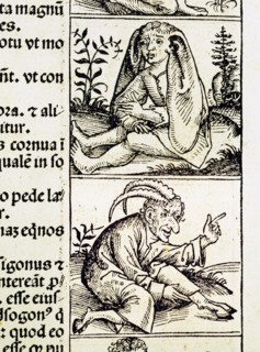 "Liber Chronicarum": monstrous creatures