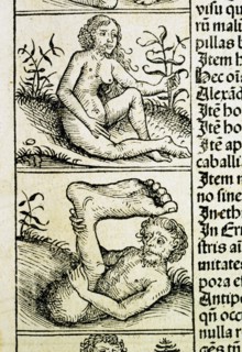 "Liber Chronicarum": monstrous creatures